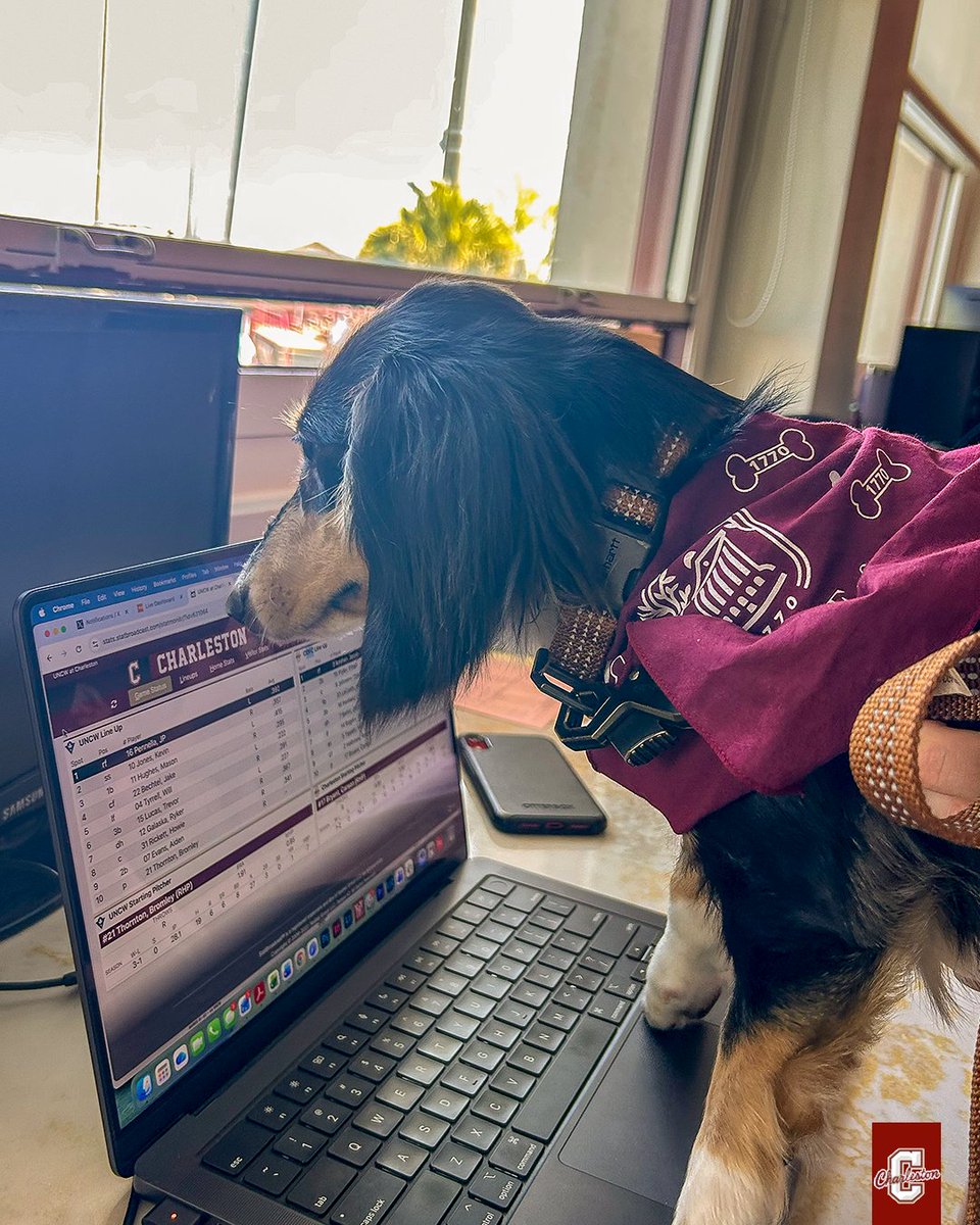 Charleston Baseball tweet media