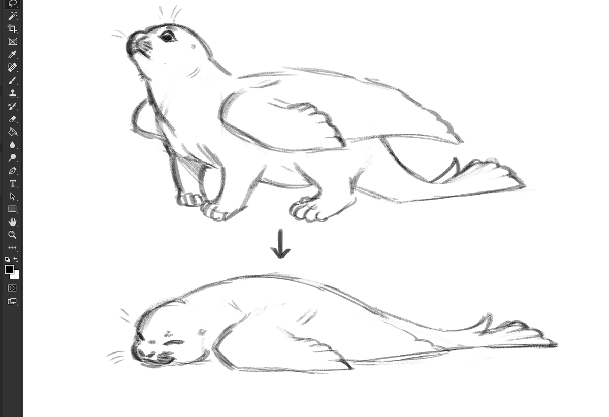 Buckeera tweet media