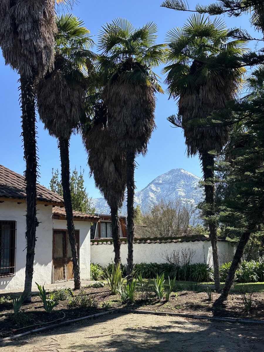 Roberto E tweet media