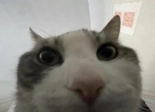 Nick Khami tweet media