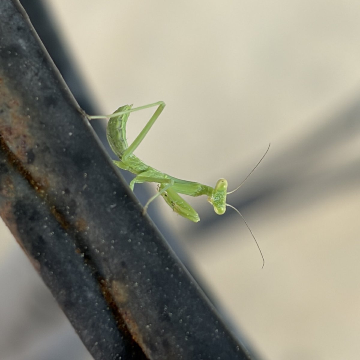 ˗ˋˏ 𝒜𝒾𝓃𝓎𝒶 ˎˊ˗ tweet media