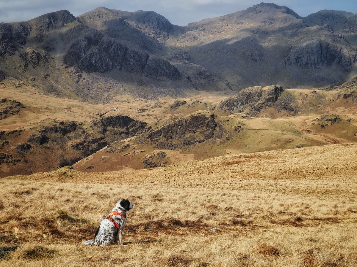 Robbledo tweet media