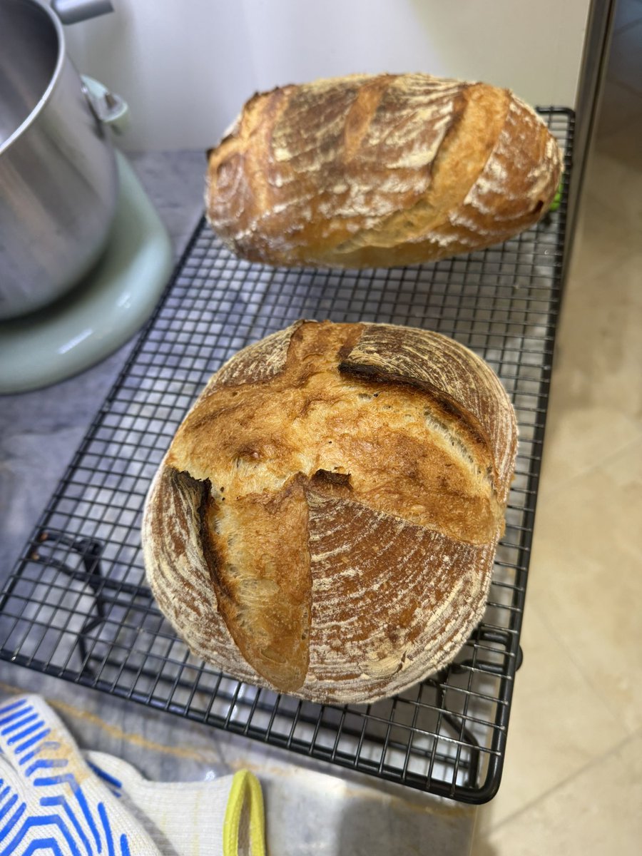 Michelle tweet media