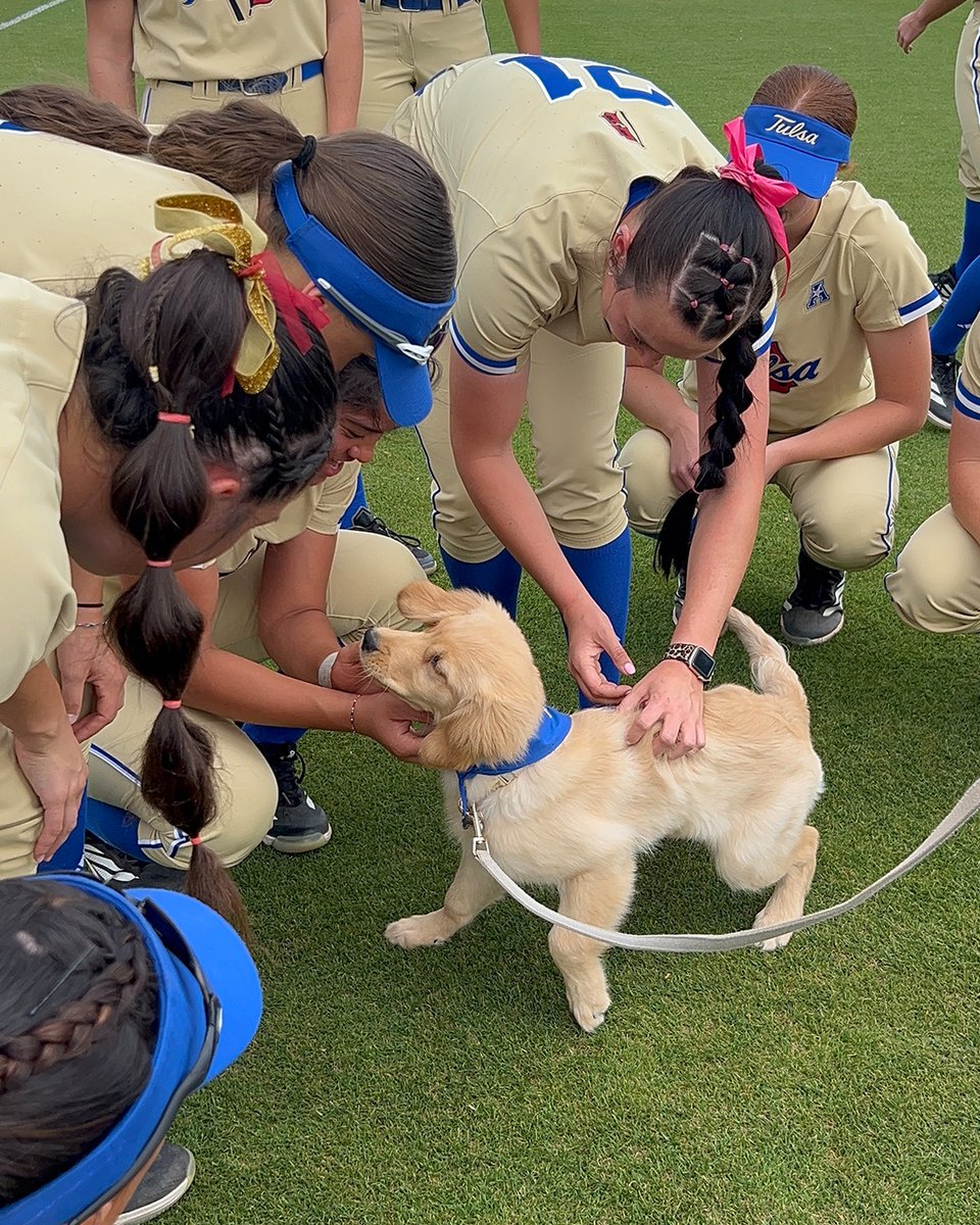 Tulsa Softball tweet media