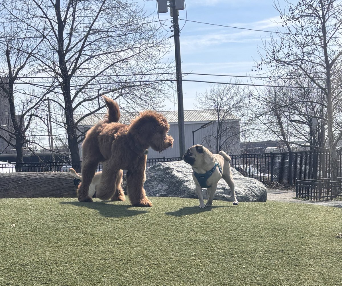 Lester Freamon tweet media