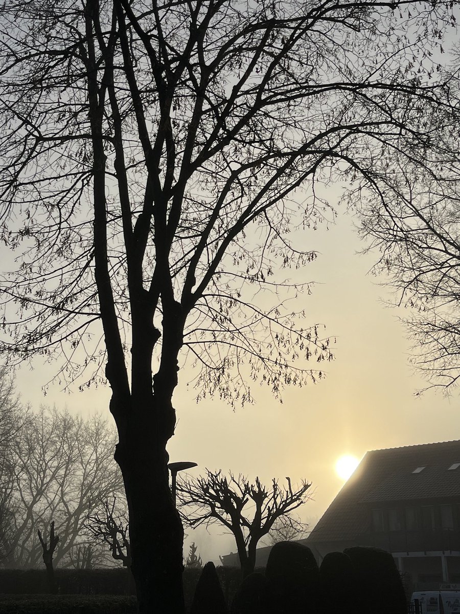 marvisions1's tweet photo. the sun is always with you https://t.co/rYJRawmLnX