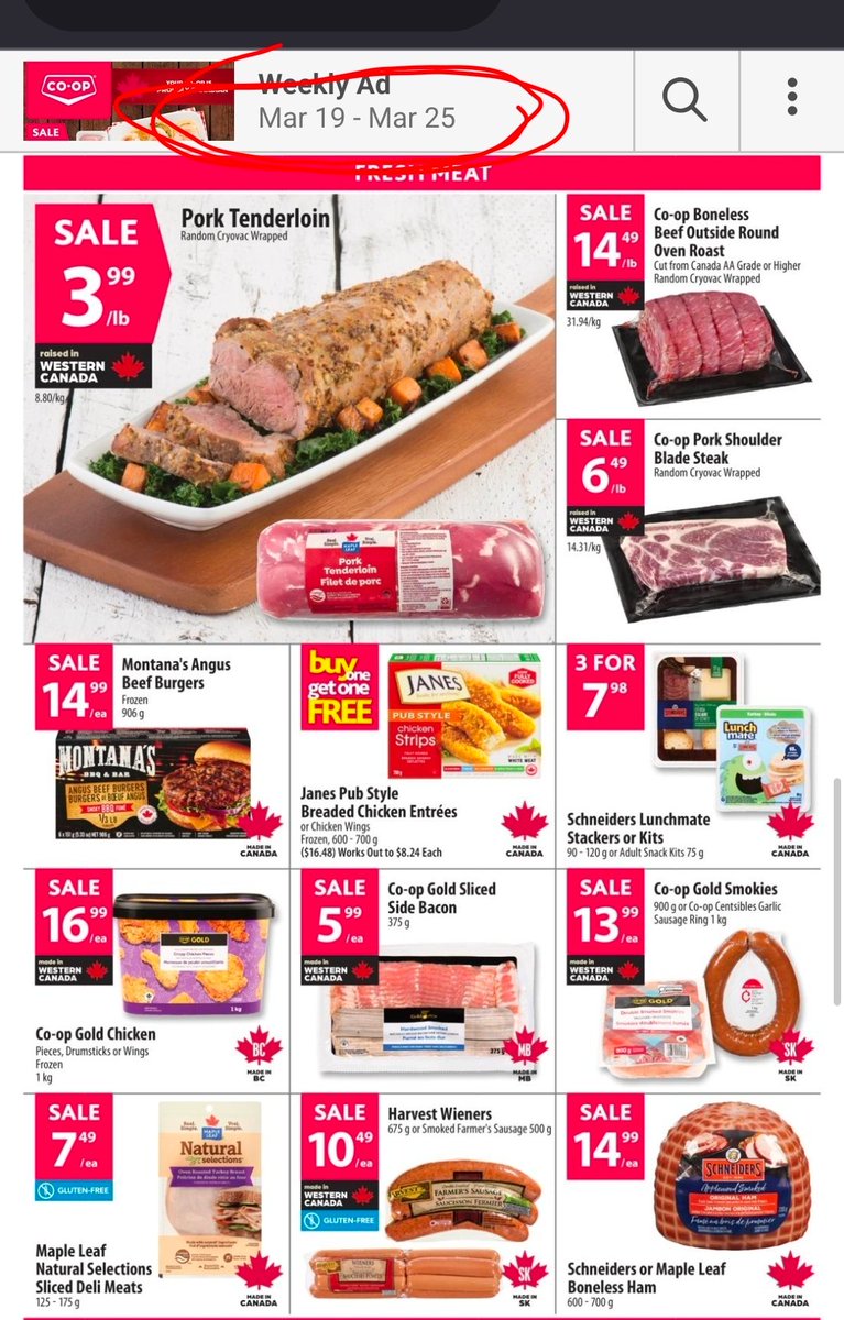 Melanie In Saskatchewan tweet media