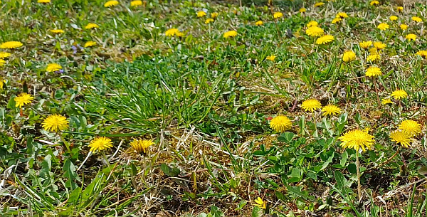 Истинајзер🔆🇷🇸 tweet media