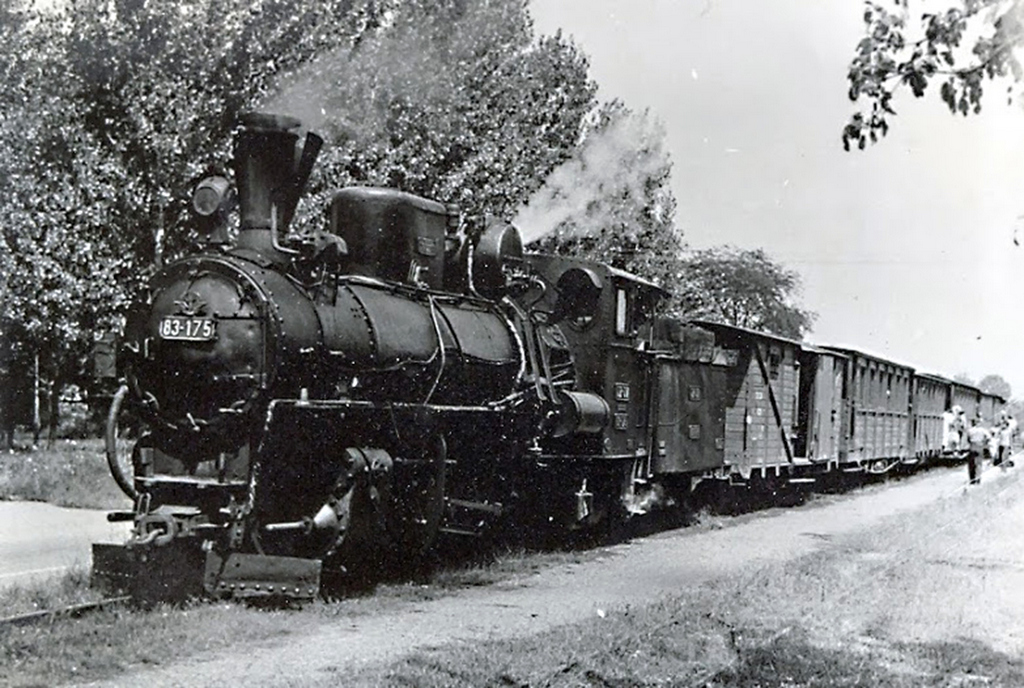 Кршни Србин tweet media