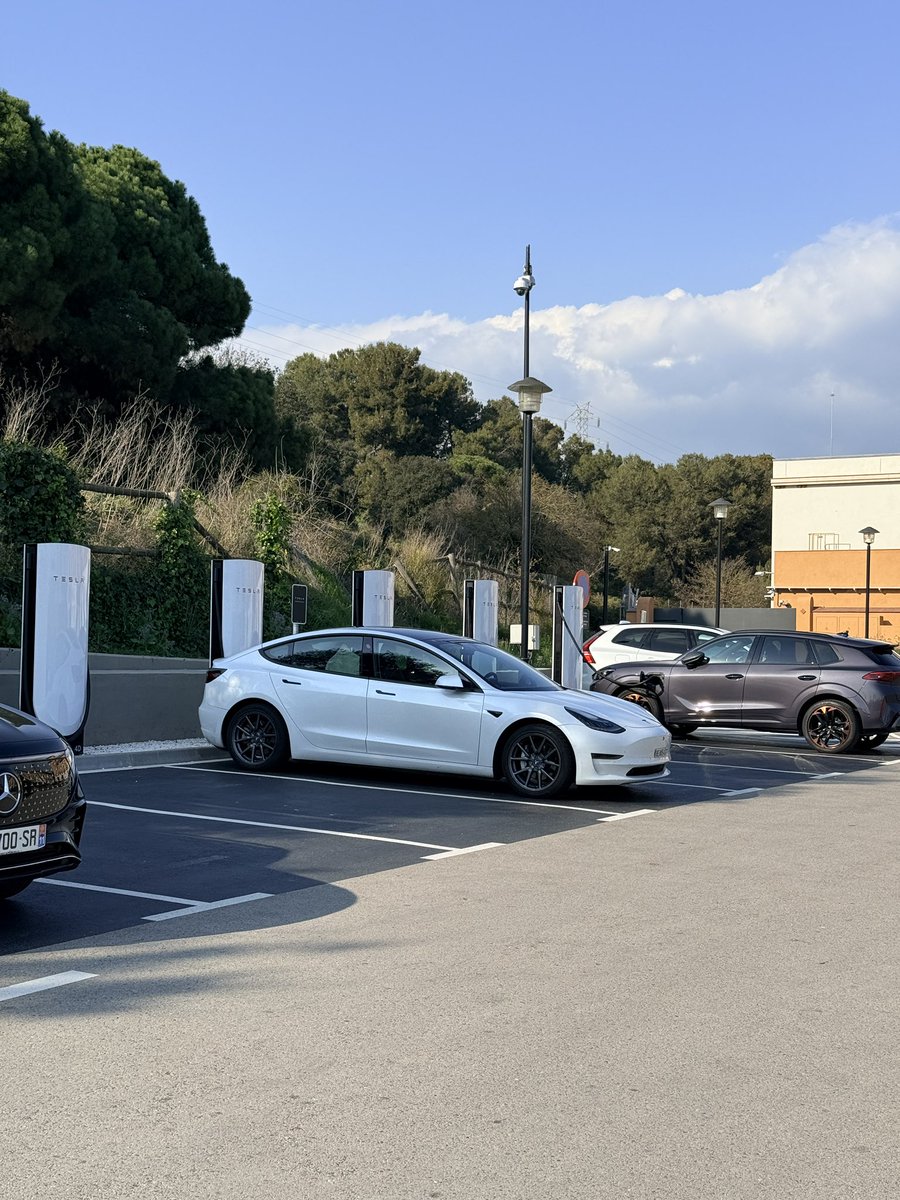 T ⚡️ tweet media