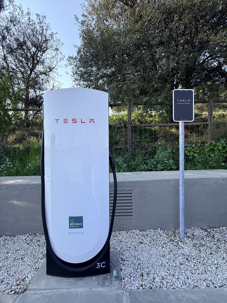 T ⚡️ tweet media