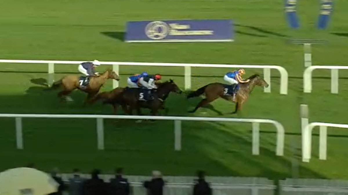 AIDANOBRIENFANSITE tweet media