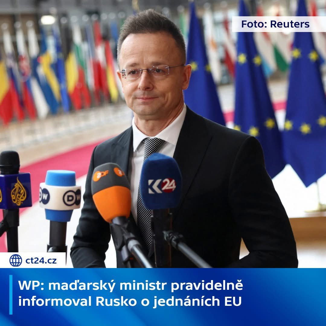 Nora Fridrichova tweet media