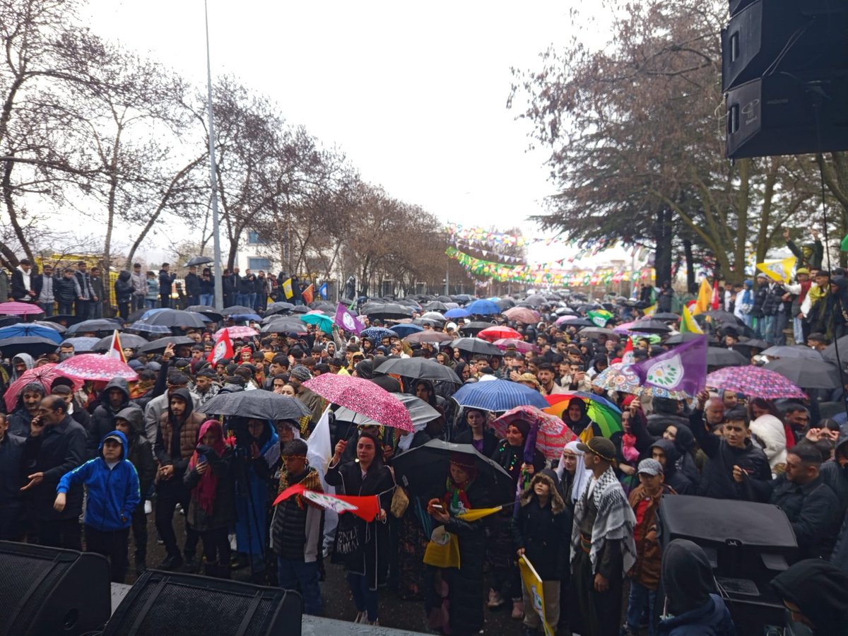 Sedat Ormangören tweet media