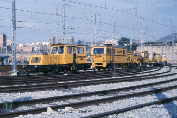 ASFA (bot) tweet media