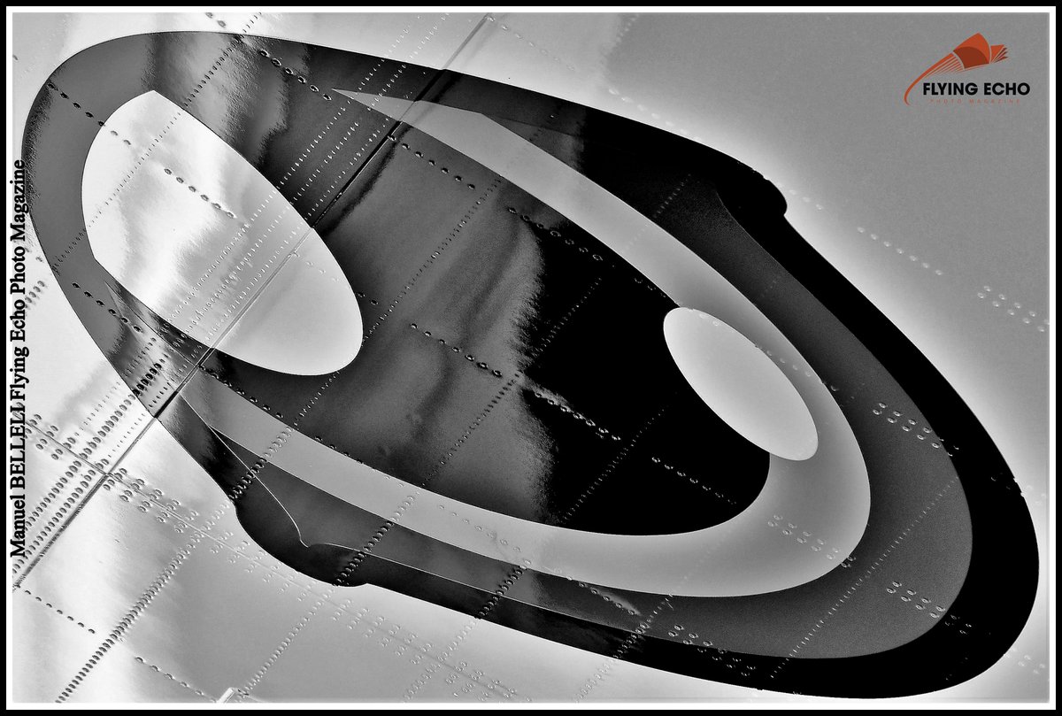 M BELLELI tweet media