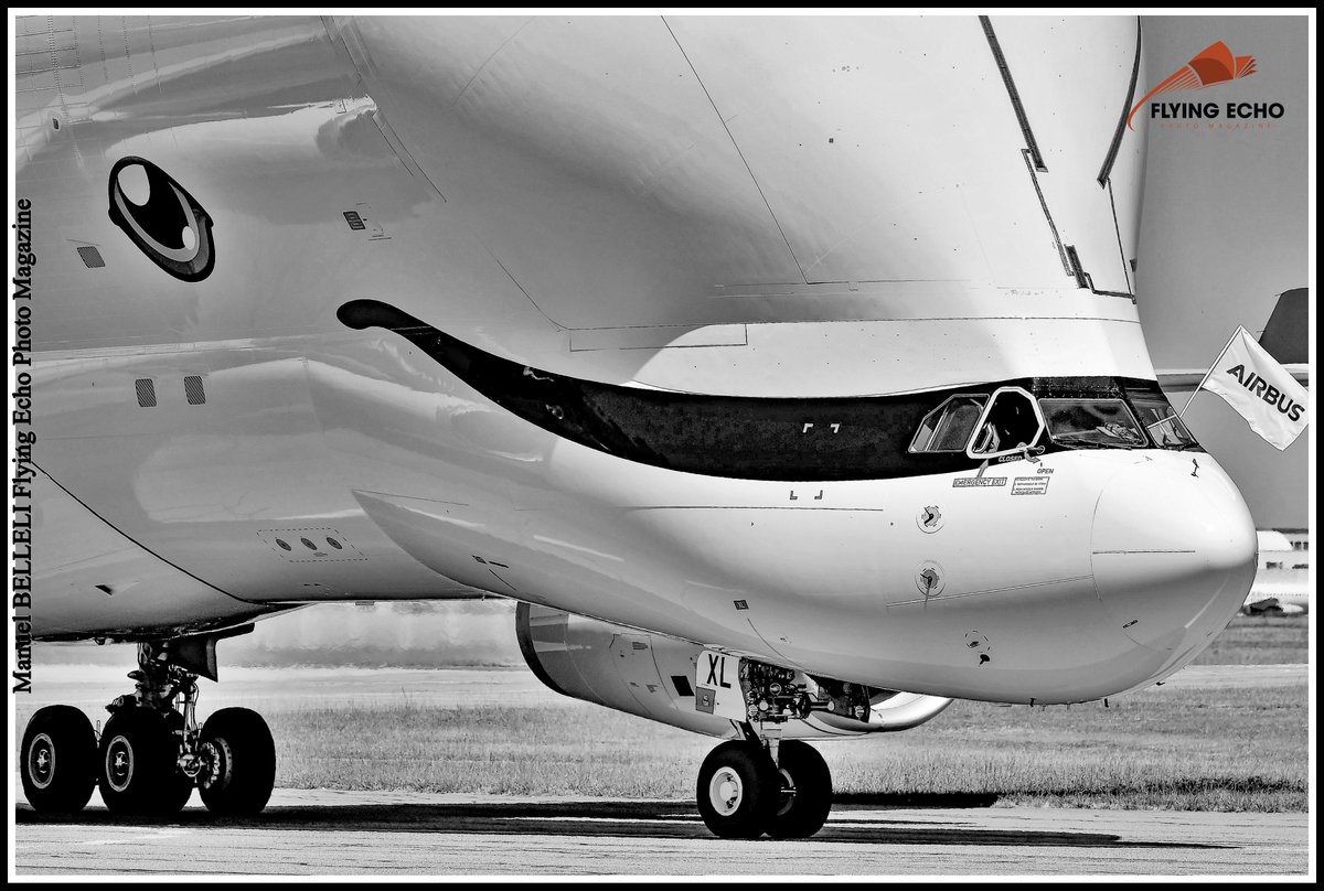 M BELLELI tweet media