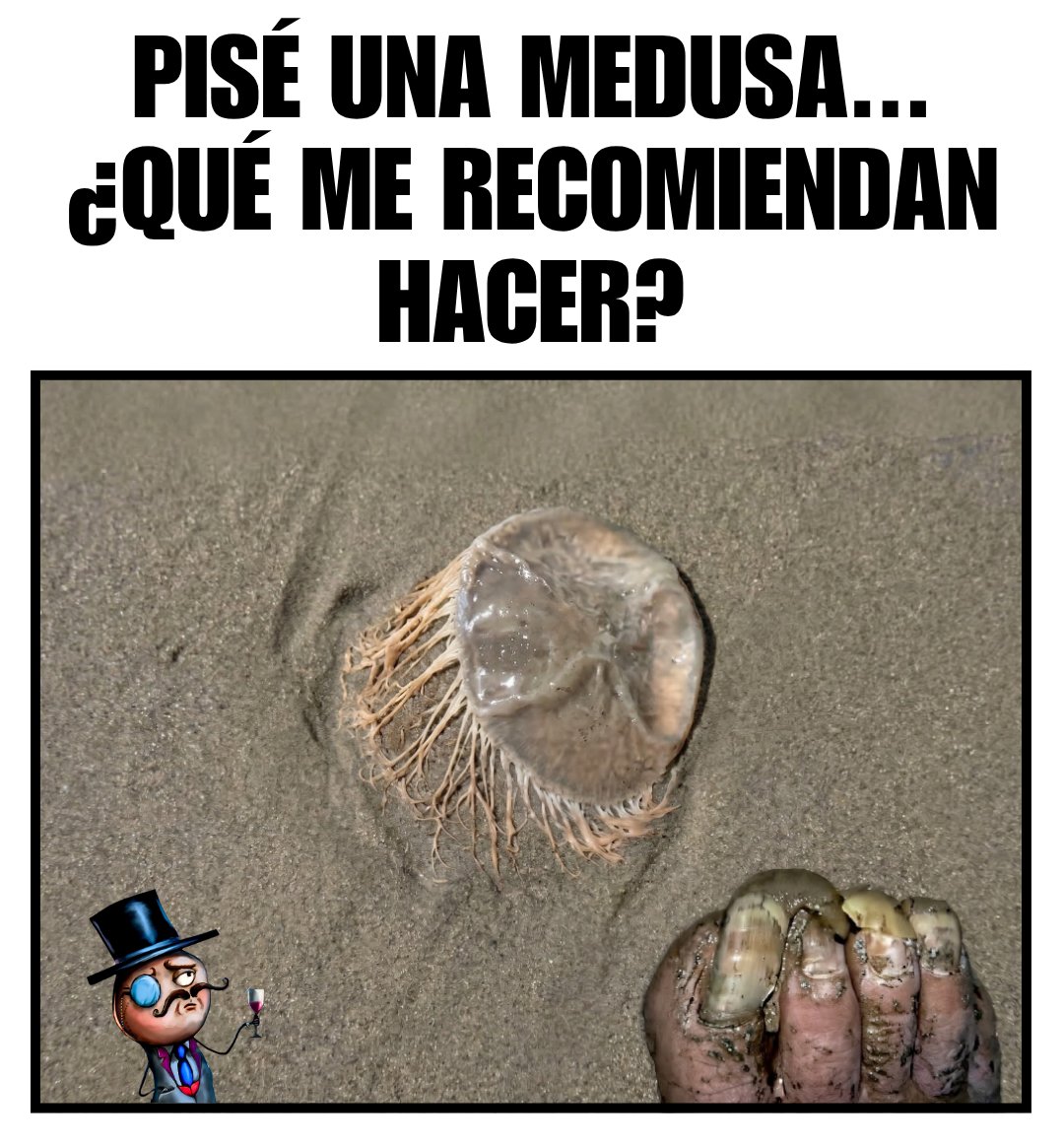 La Guia Del Varon tweet media