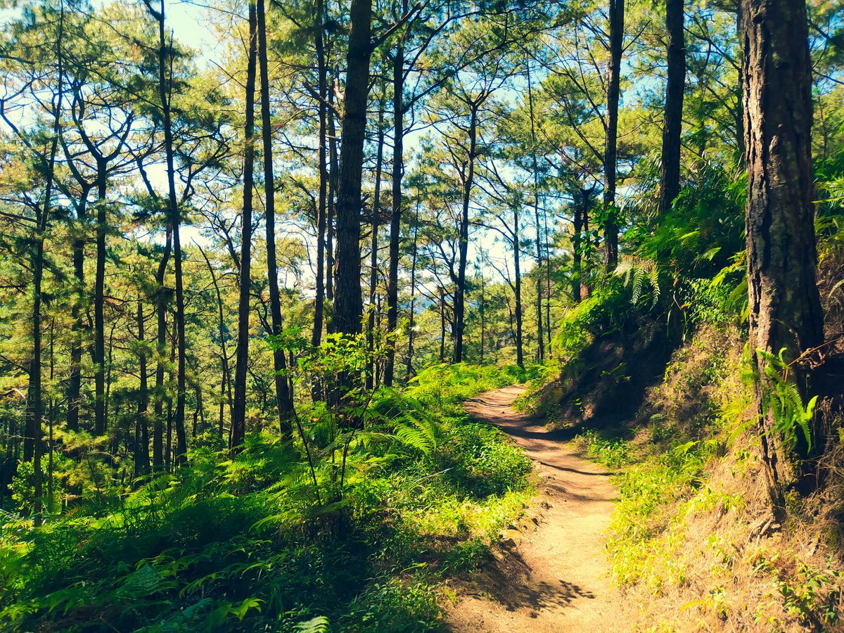 ๐ฑ๐๐๐๐๐ ๐ด๐๐๐ tweet media