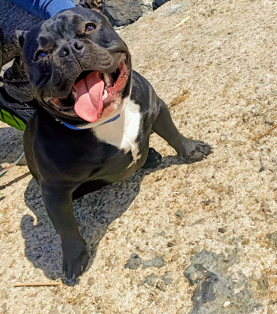 c.e.⚓📸👋 tweet media