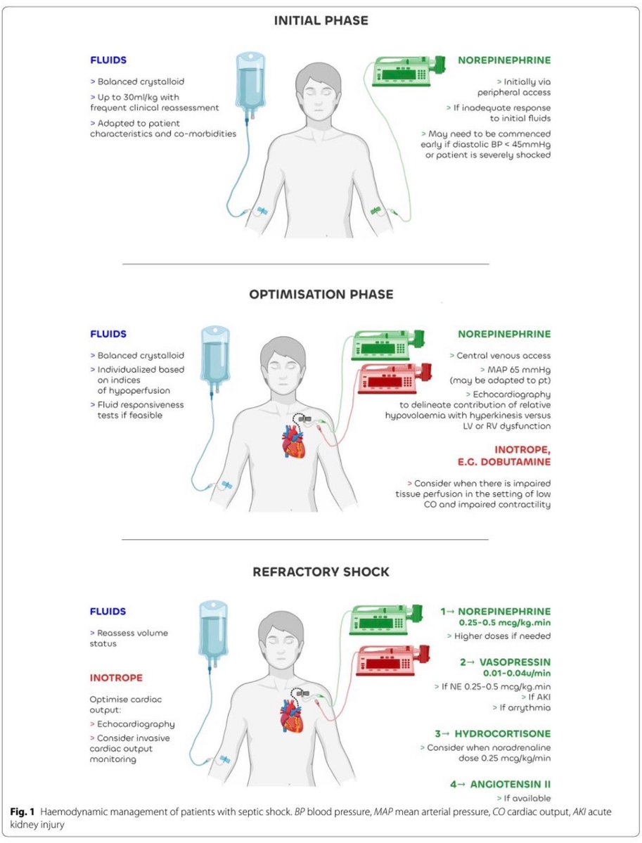 Dr.Marlon Villanueva™ 🩺 𝕏 tweet media