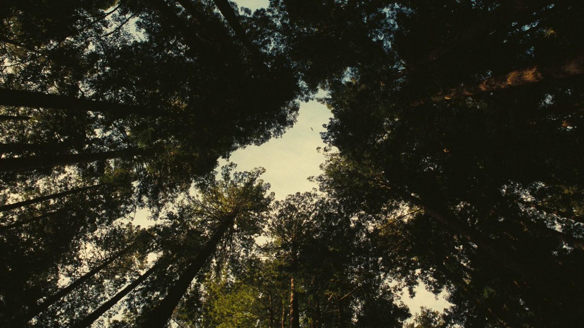 la cuarta pared tweet media