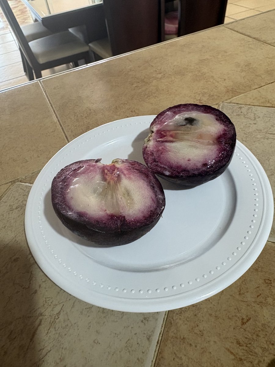 F.Ortega B.Mex. tweet media