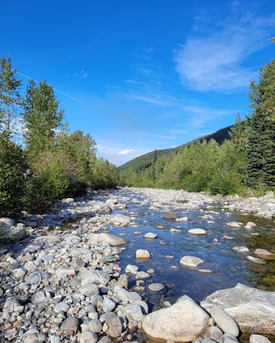 PACIFIC SALMON FOUNDATION tweet media