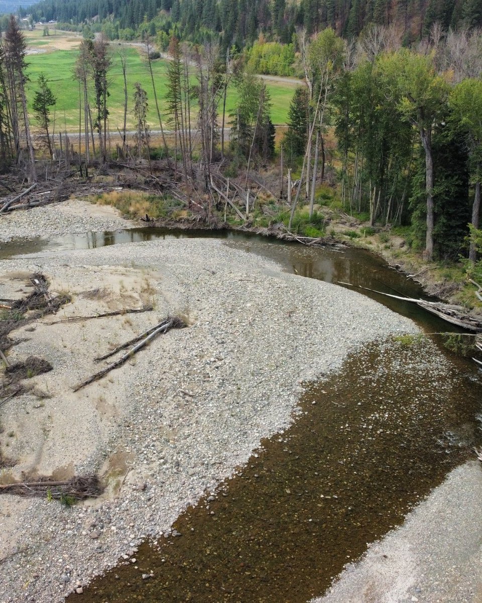 PACIFIC SALMON FOUNDATION tweet media