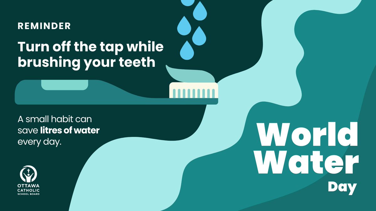 Ottawa Catholic School Board tweet media