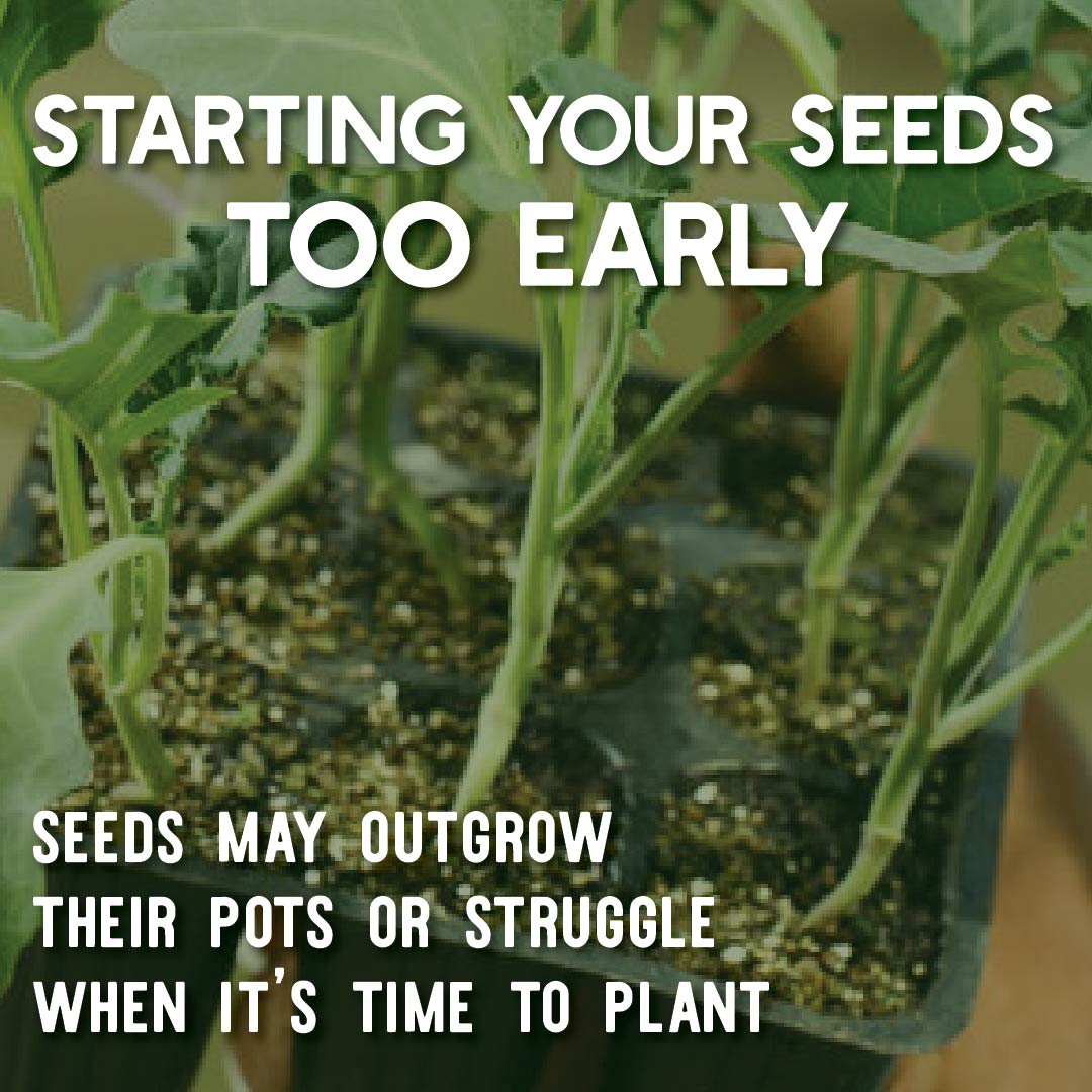 True Leaf Market tweet media