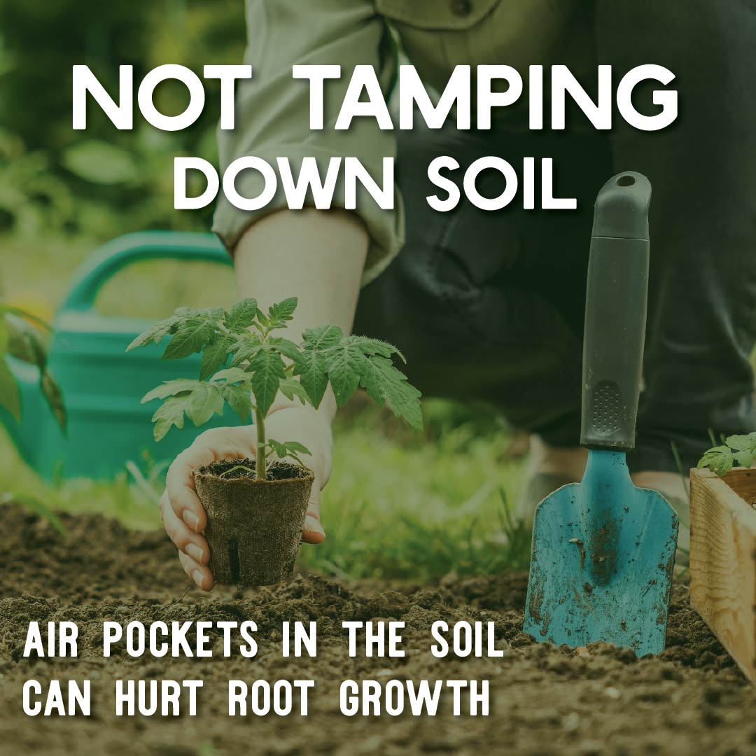 True Leaf Market tweet media