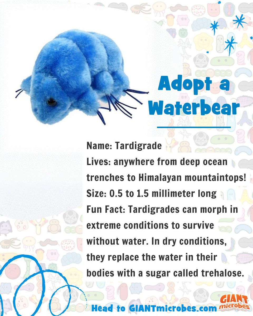 GIANTmicrobes, Inc. tweet media