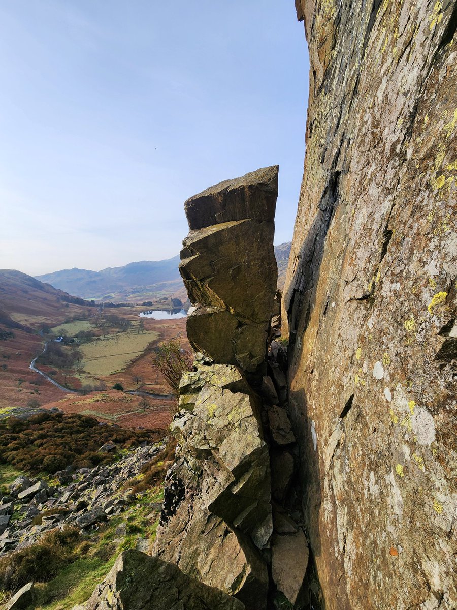 Robbledo tweet media