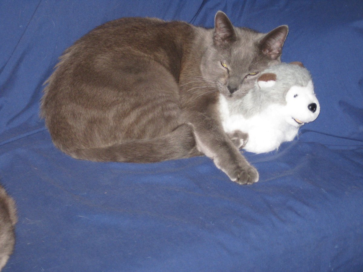 Mark Arnest tweet media