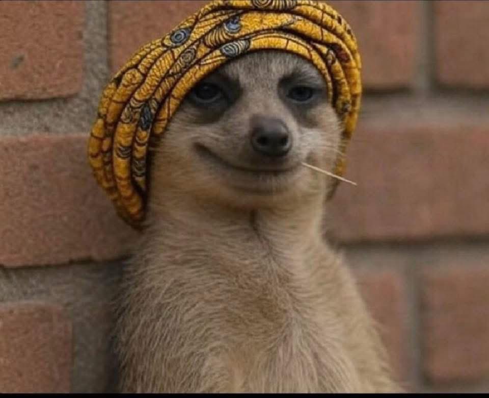 Your mother watching you praise the Manzini clan names from A to Z knowing that you're a Chauke😭😭🕊️