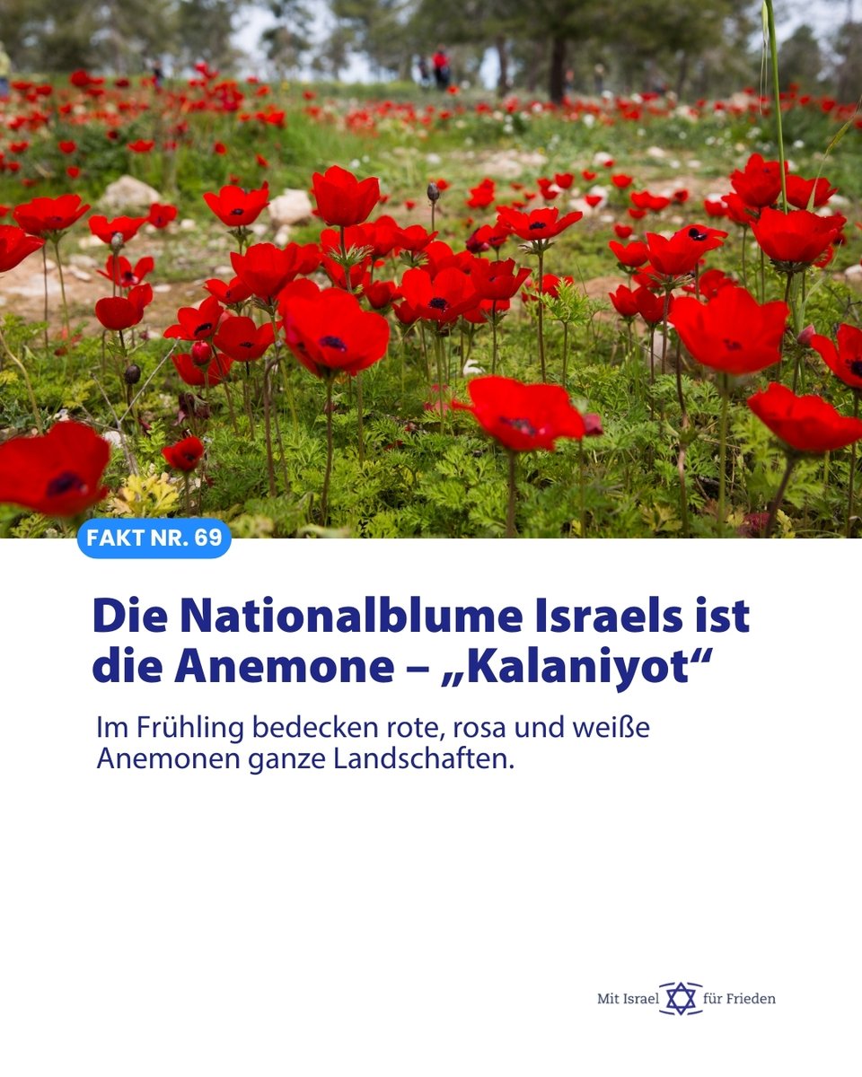 Mit Israel für Frieden tweet media