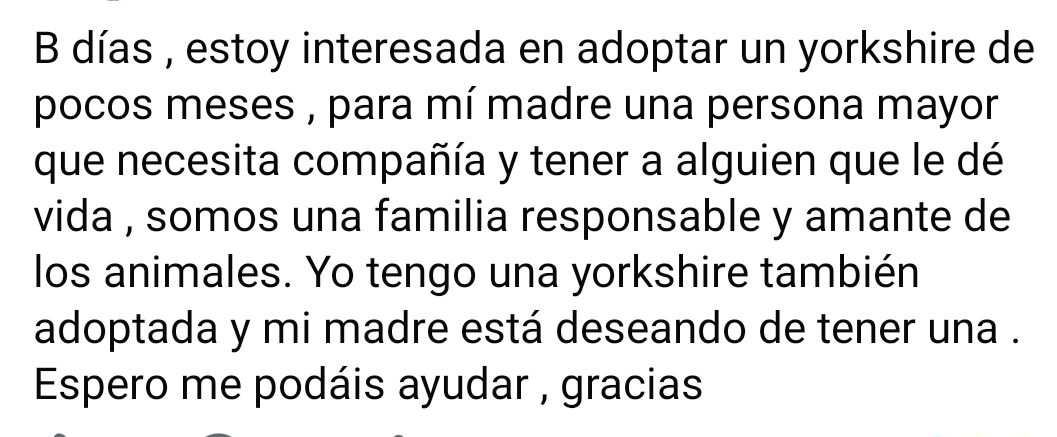 🐾 AnimalLover 🐾 Difusión ☀️ tweet media