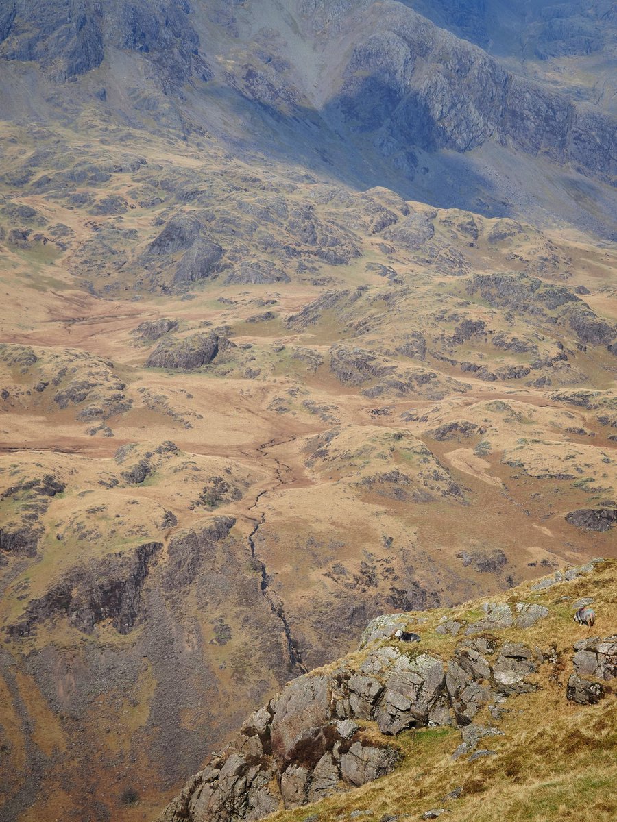 Robbledo tweet media