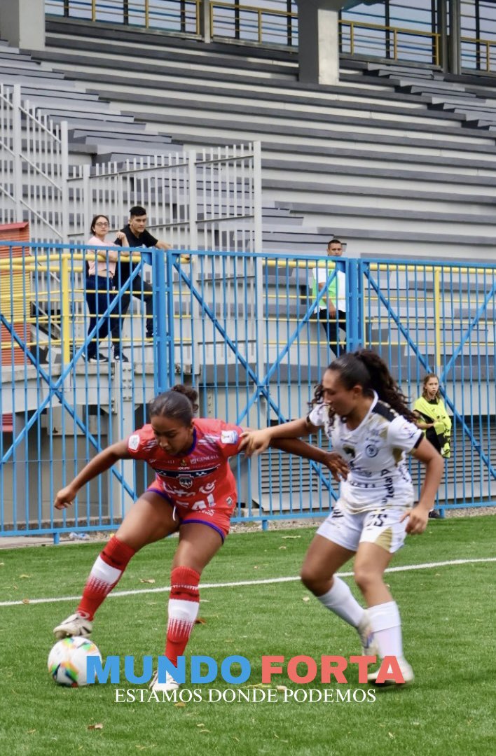 Mundo Forta tweet media