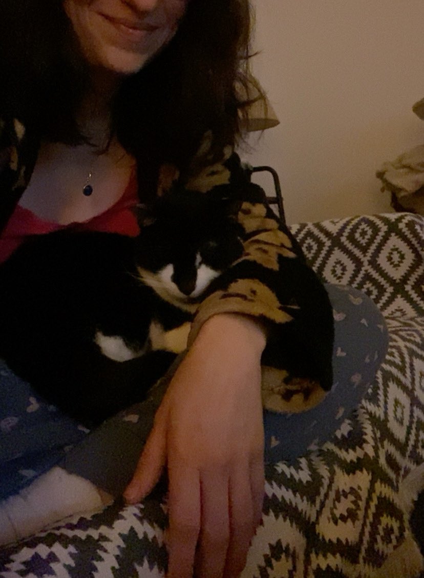 Πρέσβειρα Κακής Θελήσεως της Γατέσκο tweet media