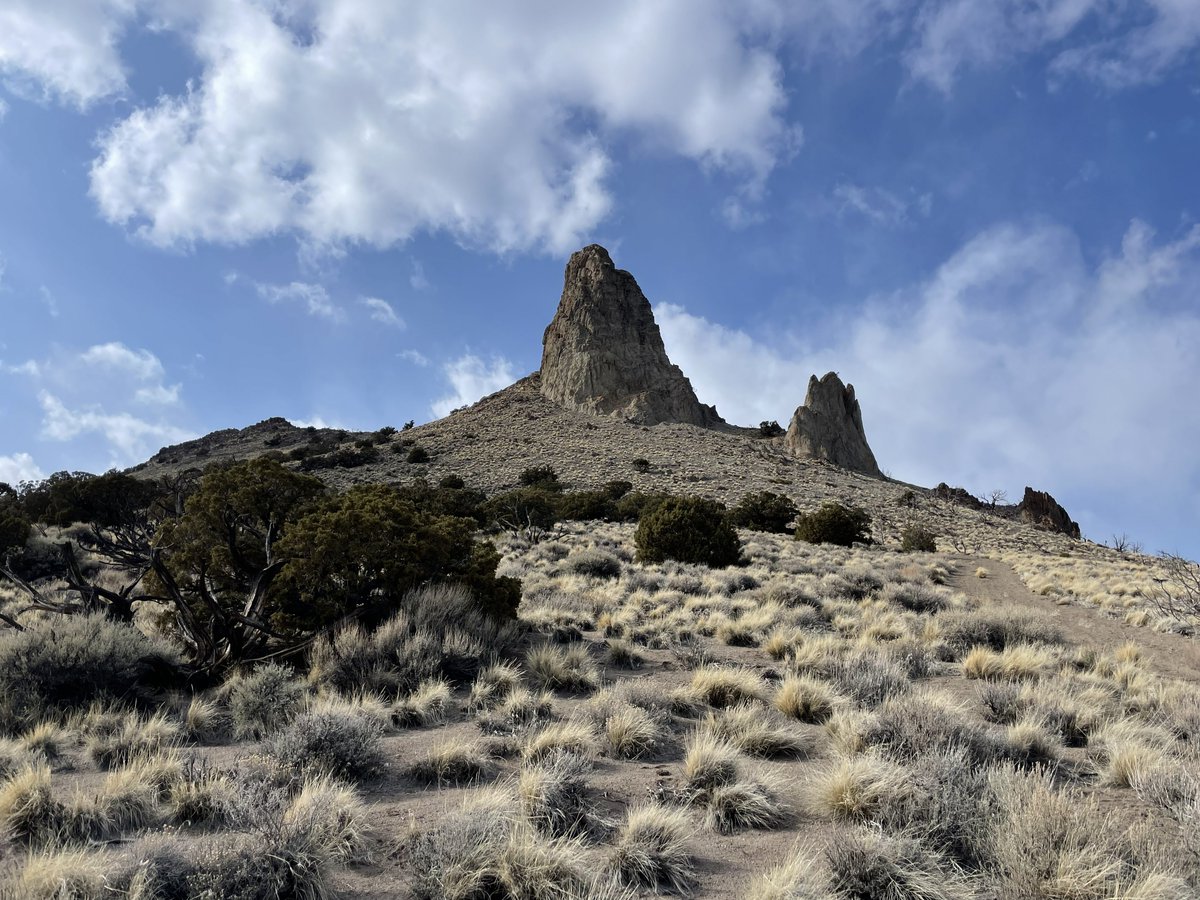 Bronze Goat tweet media