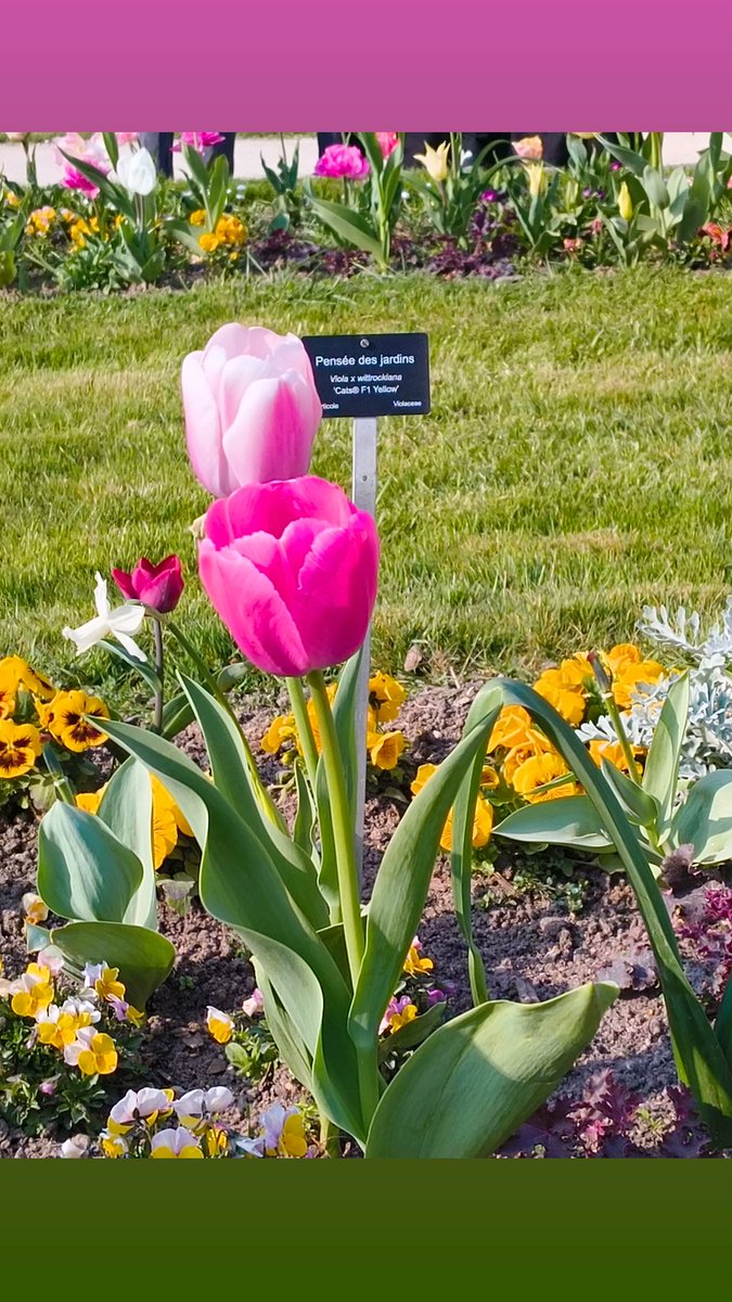 a girl has no name tweet media