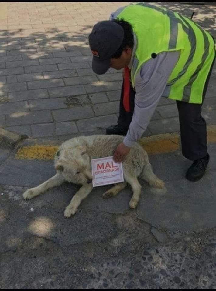 Multa por exceso de ternura