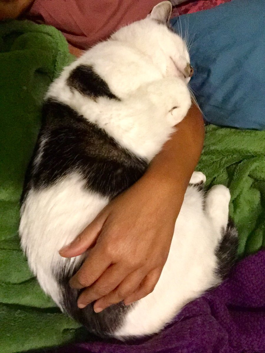 Sparkle & Lilibet from da Yurpean Onion🇪🇺🇩🇪 tweet media