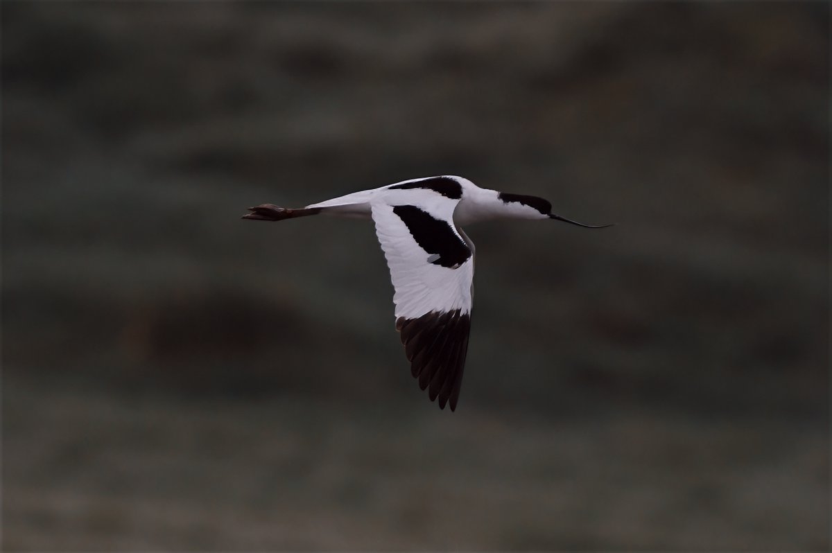 Phil Burnside tweet media