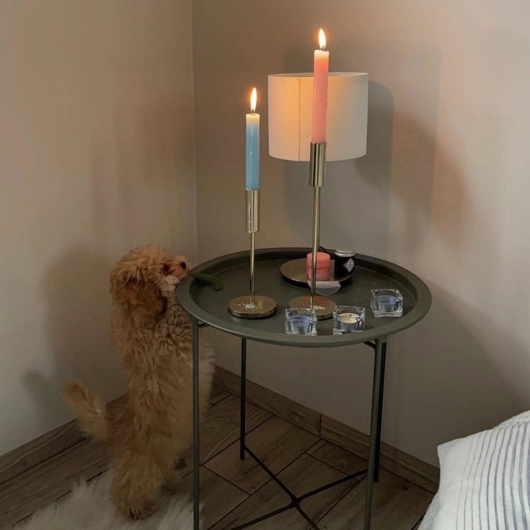 SaskiaDecker tweet media