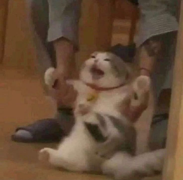 the walking mess disorder 🇺🇦 tweet media