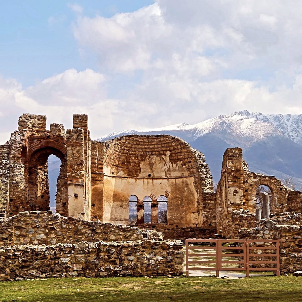 Philip Evans tweet media