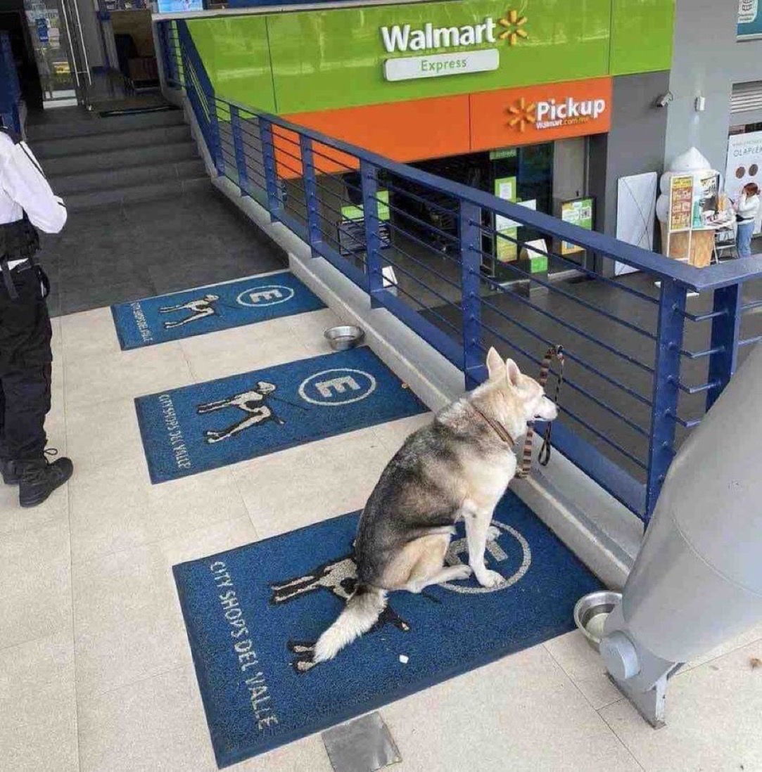 Guarromantico_'s tweet photo. Te amo, perrito estacionado. https://t.co/cdOPUolmJx